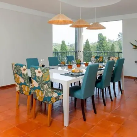 Quinta Dos Alfinetes 辛特拉